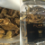 Cepes Mushroom Dried Standard (500g)