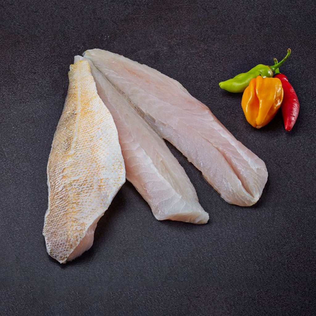 Buy Frozen Butterfish Fillet from Vietnam
